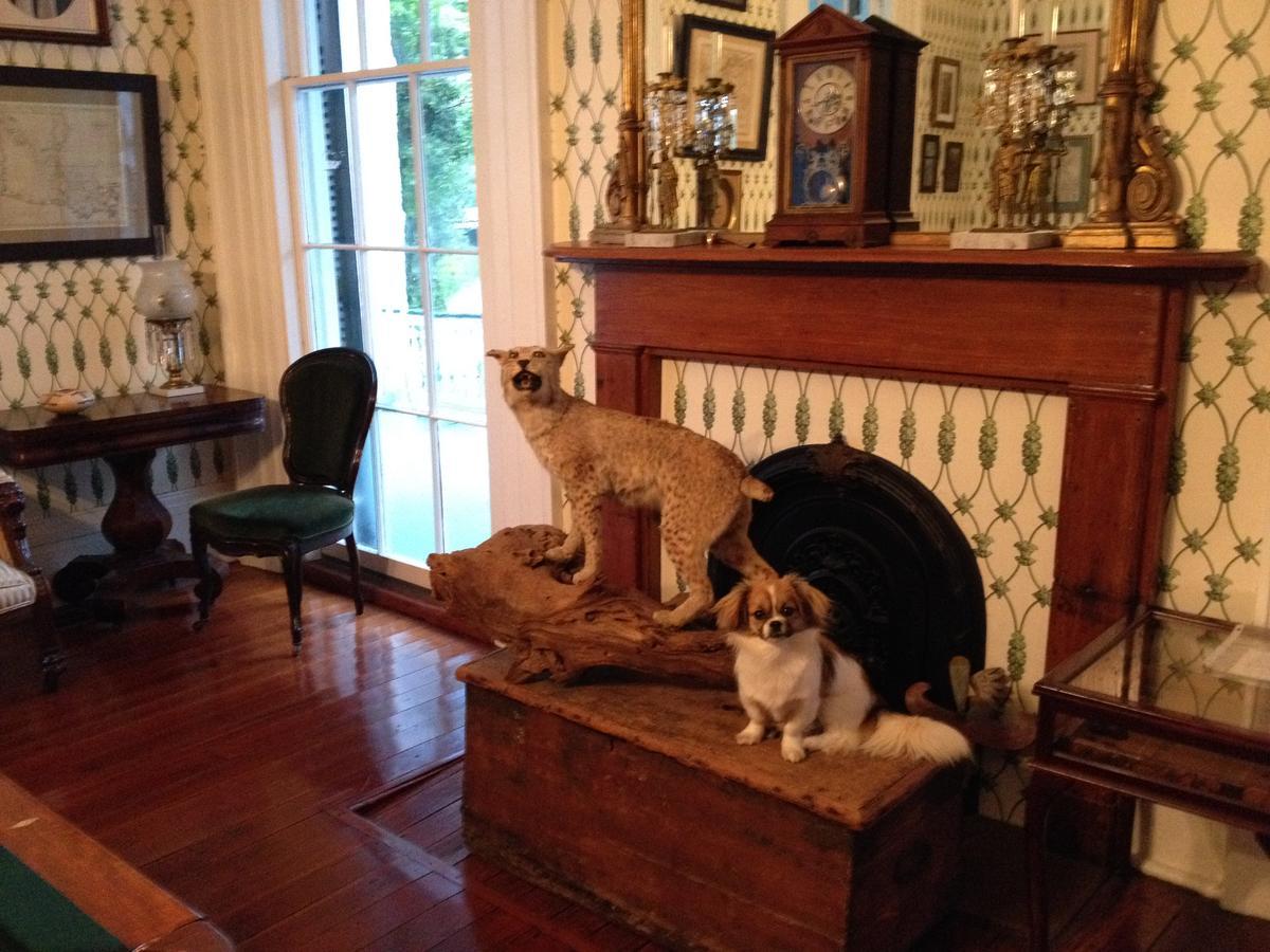 Stone House Musical B&B Natchez Eksteriør bilde