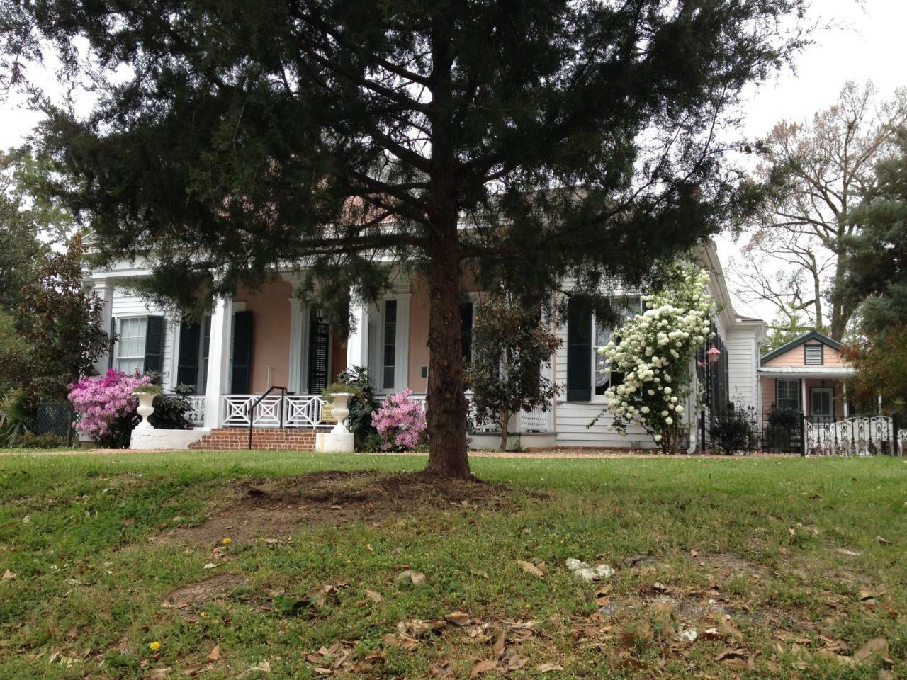 Stone House Musical B&B Natchez Eksteriør bilde
